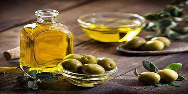 تصویر 4 از خرید و فروش روغن زیتون سبز دشت با شرایط فوق العاده